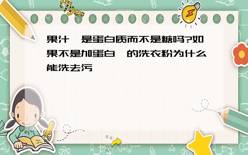 果汁渍是蛋白质而不是糖吗?如果不是加蛋白酶的洗衣粉为什么能洗去污渍