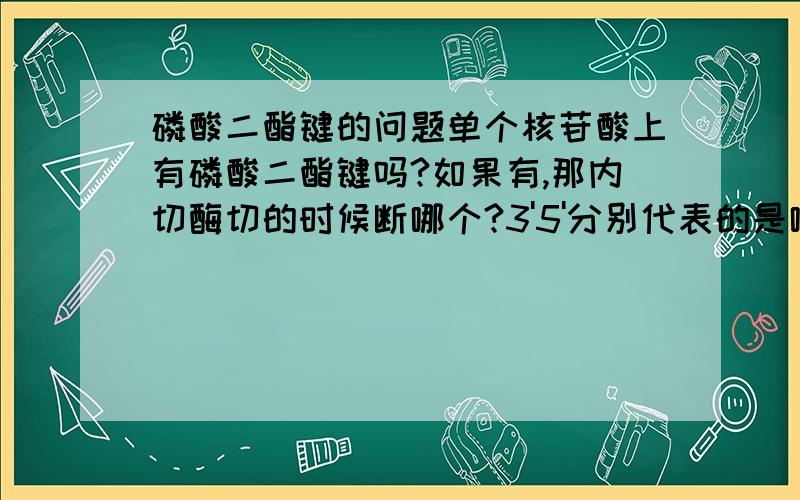 磷酸二酯键的问题单个核苷酸上有磷酸二酯键吗?如果有,那内切酶切的时候断哪个?3'5'分别代表的是哪个?