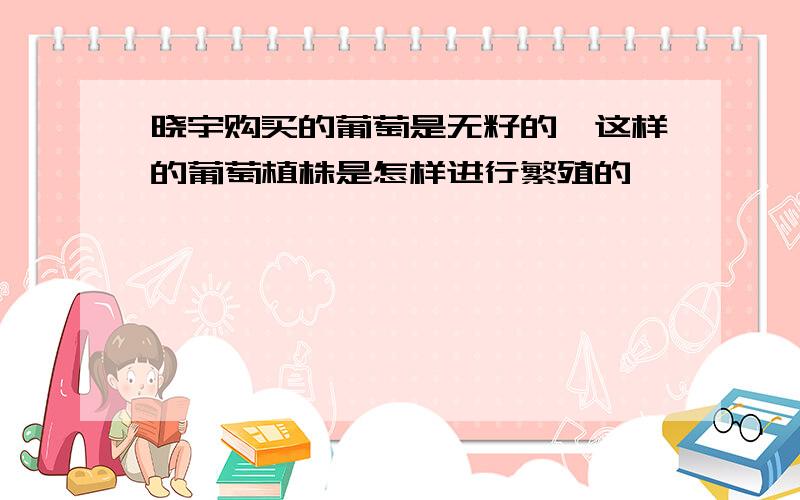 晓宇购买的葡萄是无籽的,这样的葡萄植株是怎样进行繁殖的