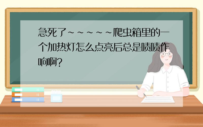 急死了~~~~~爬虫箱里的一个加热灯怎么点亮后总是啧啧作响啊?