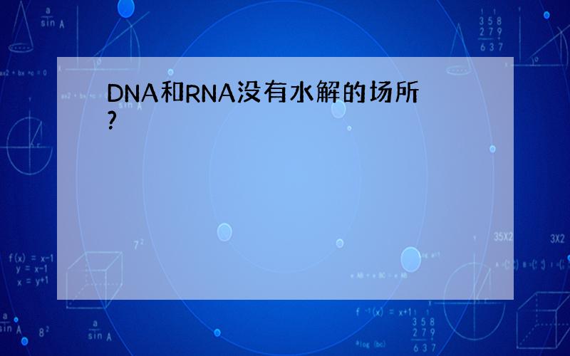 DNA和RNA没有水解的场所?