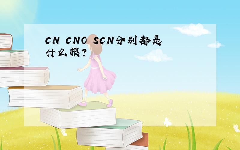 CN CNO SCN分别都是什么根?