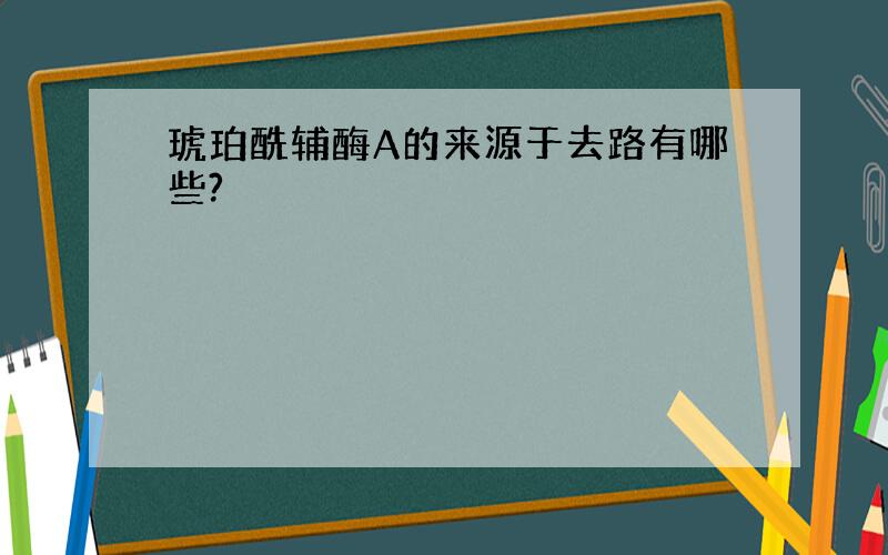 琥珀酰辅酶A的来源于去路有哪些?