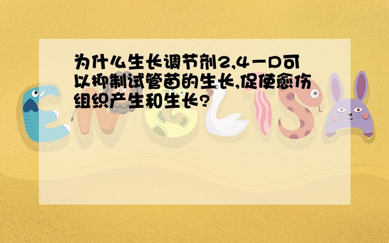 为什么生长调节剂2,4－D可以抑制试管苗的生长,促使愈伤组织产生和生长?