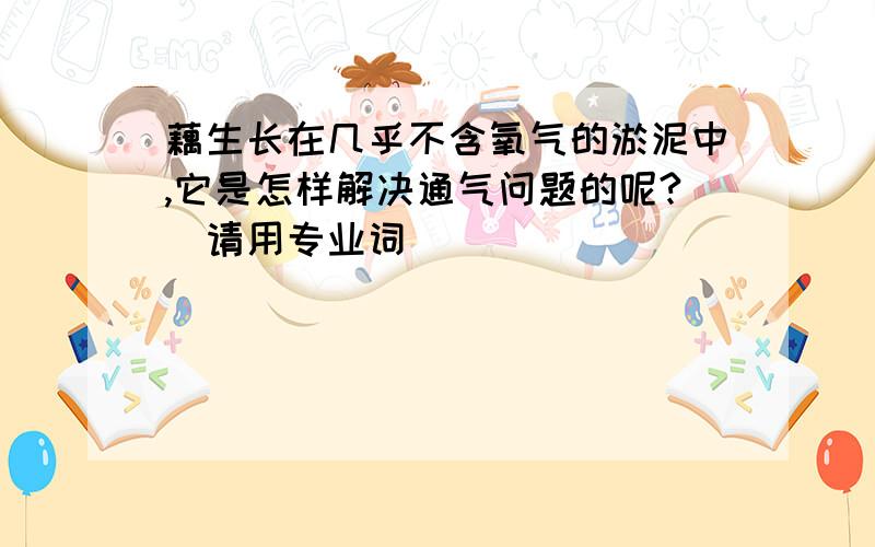 藕生长在几乎不含氧气的淤泥中,它是怎样解决通气问题的呢?（请用专业词）