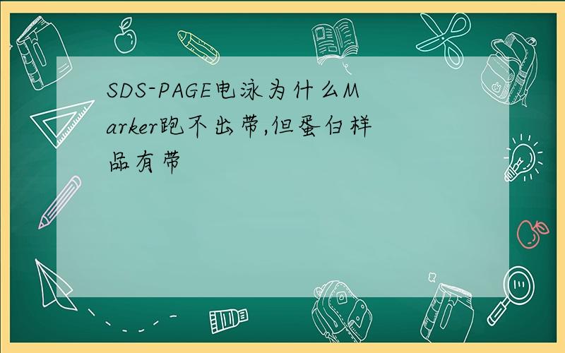 SDS-PAGE电泳为什么Marker跑不出带,但蛋白样品有带