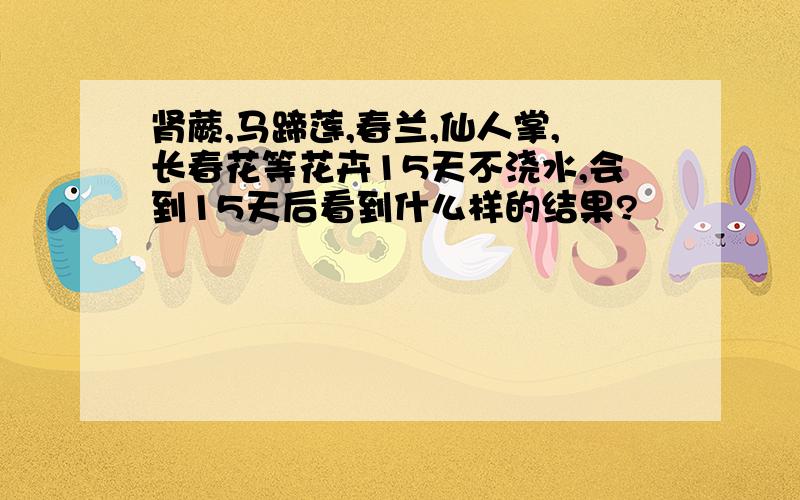 肾蕨,马蹄莲,春兰,仙人掌,长春花等花卉15天不浇水,会到15天后看到什么样的结果?