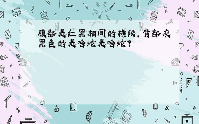 腹部是红黑相间的横纹,背部灰黑色的是啥蛇是啥蛇?