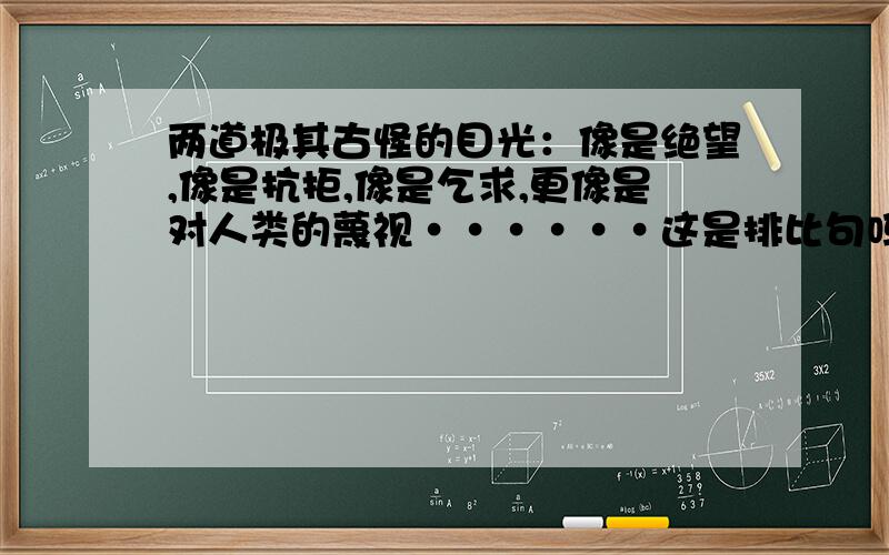 两道极其古怪的目光：像是绝望,像是抗拒,像是乞求,更像是对人类的蔑视······这是排比句吗