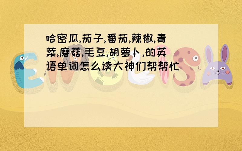 哈密瓜,茄子,番茄,辣椒,青菜,磨菇,毛豆,胡萝卜,的英语单词怎么读大神们帮帮忙