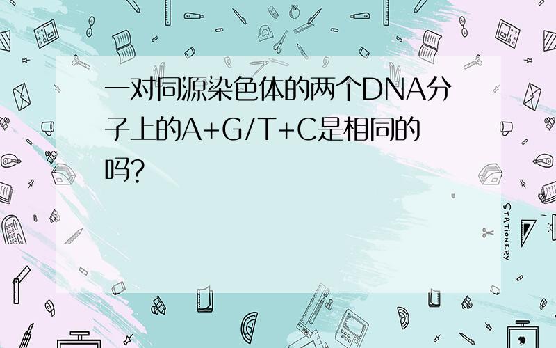 一对同源染色体的两个DNA分子上的A+G/T+C是相同的吗?