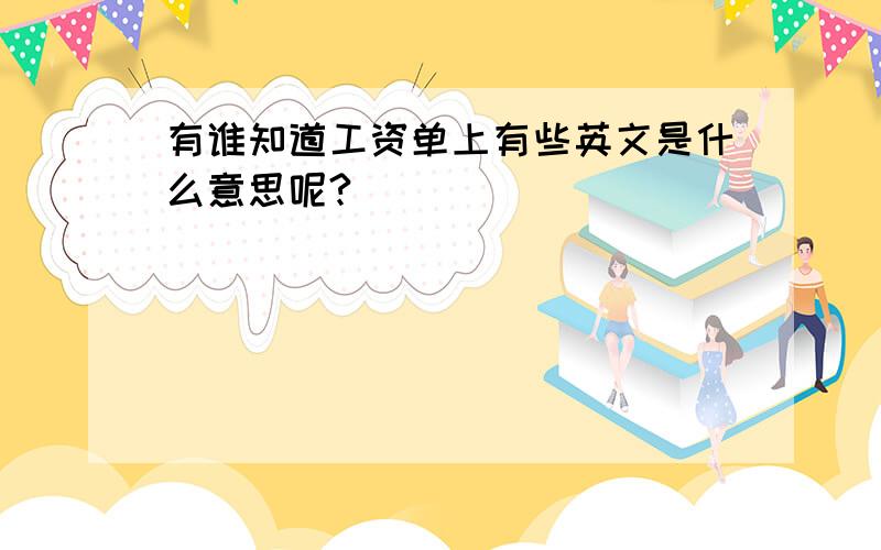 有谁知道工资单上有些英文是什么意思呢?