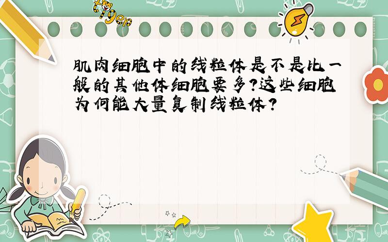 肌肉细胞中的线粒体是不是比一般的其他体细胞要多?这些细胞为何能大量复制线粒体?