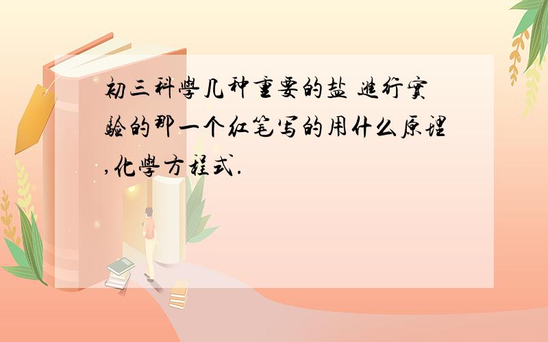 初三科学几种重要的盐 进行实验的那一个红笔写的用什么原理,化学方程式.