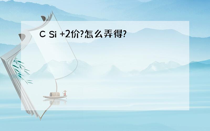 C Si +2价?怎么弄得?