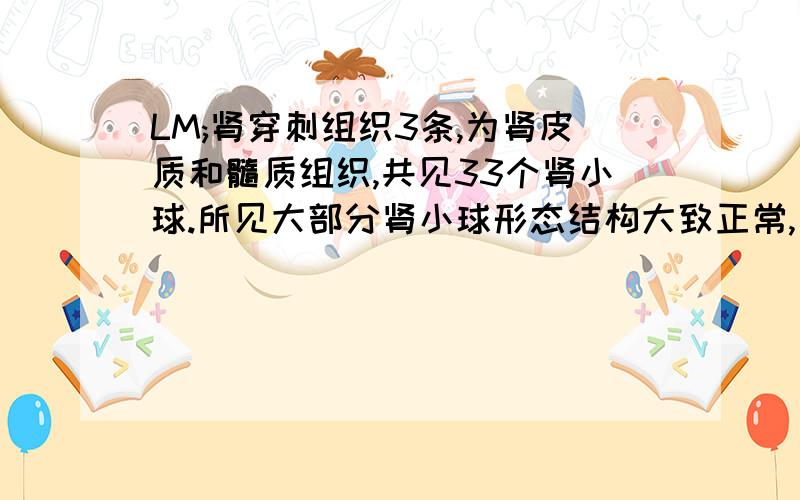 LM;肾穿刺组织3条,为肾皮质和髓质组织,共见33个肾小球.所见大部分肾小球形态结构大致正常,系膜基质无明显增多,系膜细