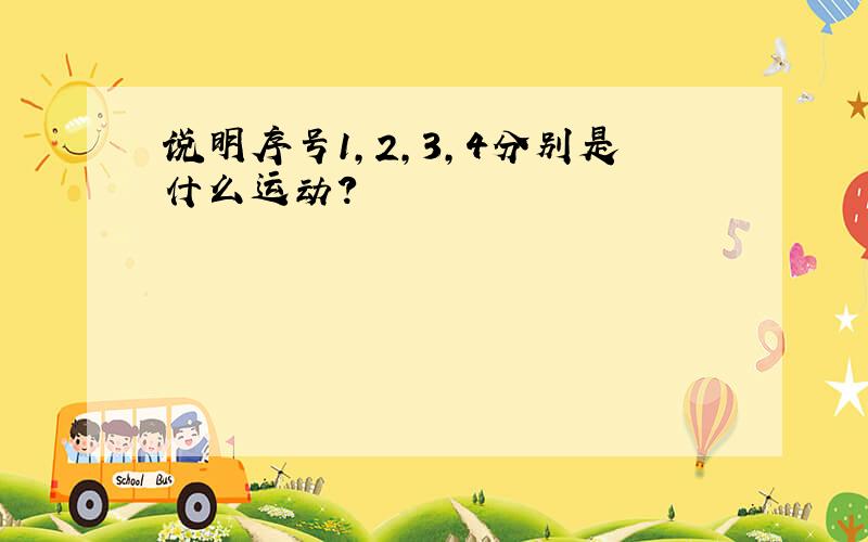 说明序号1,2,3,4分别是什么运动?