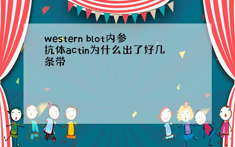 western blot内参抗体actin为什么出了好几条带