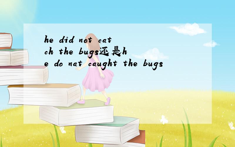 he did not catch the bugs还是he do nat caught the bugs