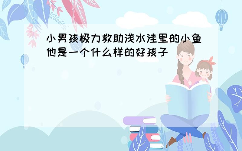 小男孩极力救助浅水洼里的小鱼他是一个什么样的好孩子