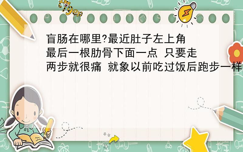 盲肠在哪里?最近肚子左上角 最后一根肋骨下面一点 只要走两步就很痛 就象以前吃过饭后跑步一样的内种痛 会不会是盲肠炎啊