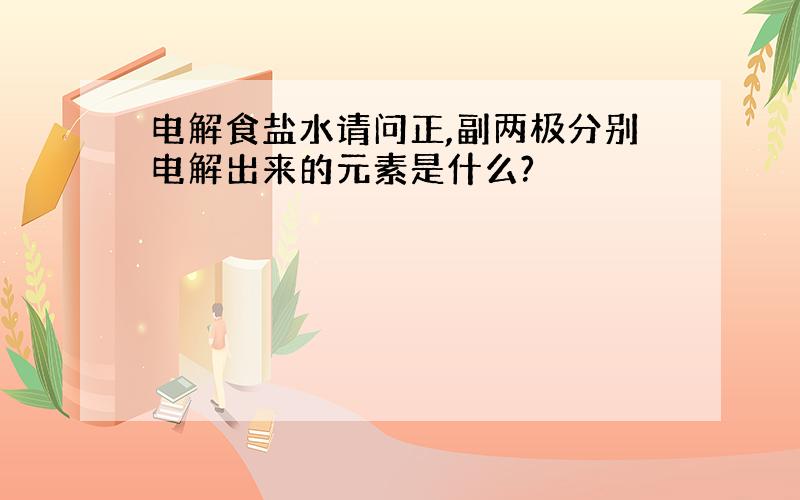 电解食盐水请问正,副两极分别电解出来的元素是什么?