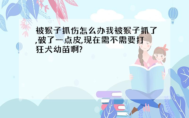 被猴子抓伤怎么办我被猴子抓了,破了一点皮,现在需不需要打狂犬幼苗啊?