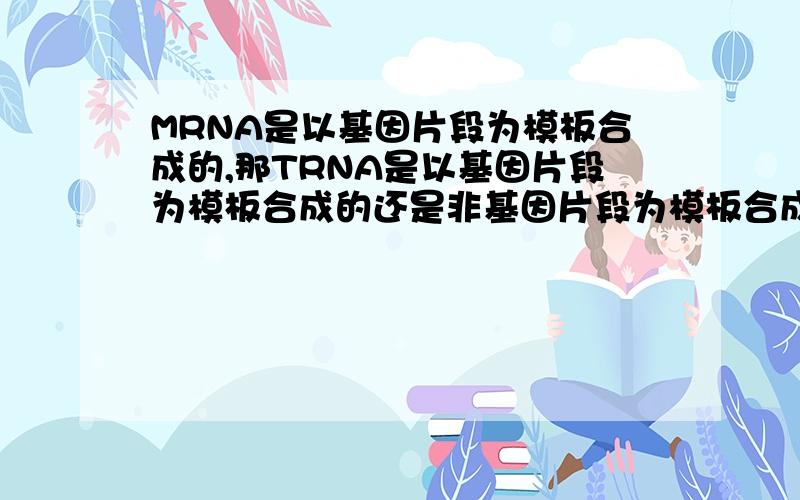 MRNA是以基因片段为模板合成的,那TRNA是以基因片段为模板合成的还是非基因片段为模板合成的呢?