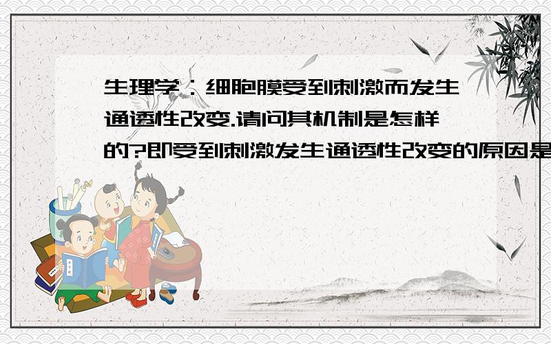 生理学：细胞膜受到刺激而发生通透性改变.请问其机制是怎样的?即受到刺激发生通透性改变的原因是什么.