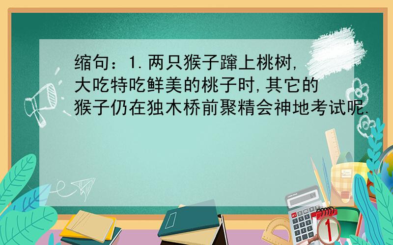 缩句：1.两只猴子蹿上桃树,大吃特吃鲜美的桃子时,其它的猴子仍在独木桥前聚精会神地考试呢.