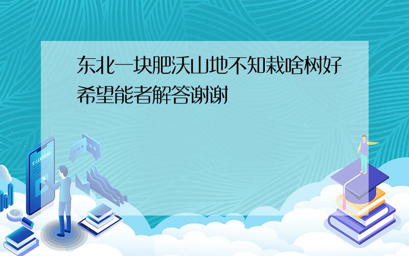 东北一块肥沃山地不知栽啥树好希望能者解答谢谢