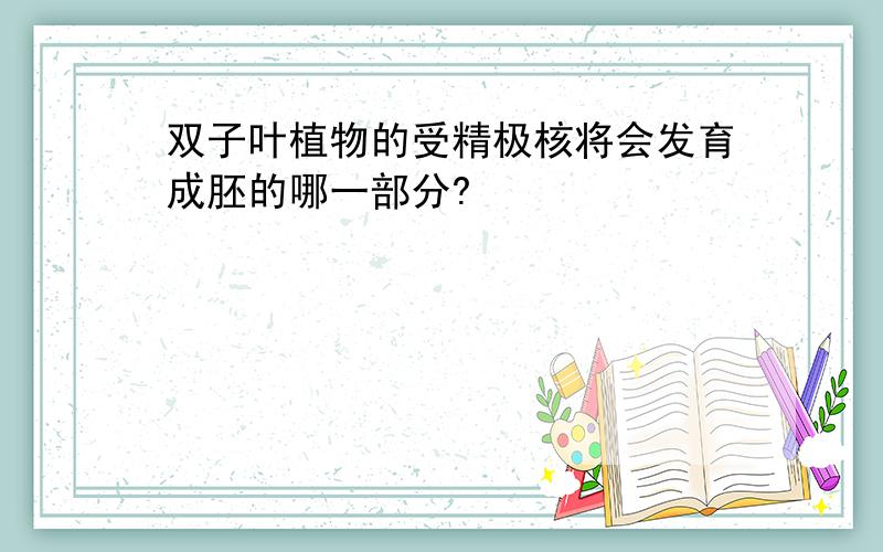 双子叶植物的受精极核将会发育成胚的哪一部分?