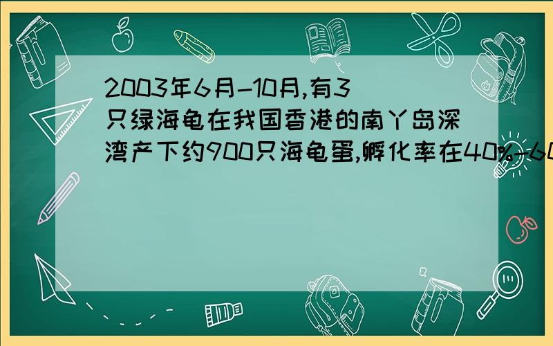 2003年6月-10月,有3只绿海龟在我国香港的南丫岛深湾产下约900只海龟蛋,孵化率在40%-60%之间,这些海龟蛋可