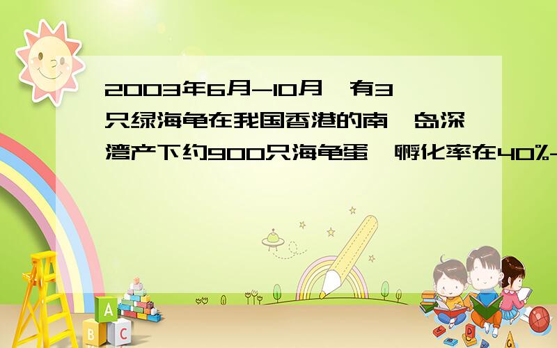 2003年6月-10月,有3只绿海龟在我国香港的南丫岛深湾产下约900只海龟蛋,孵化率在40%-60%之间,这些海龟%B