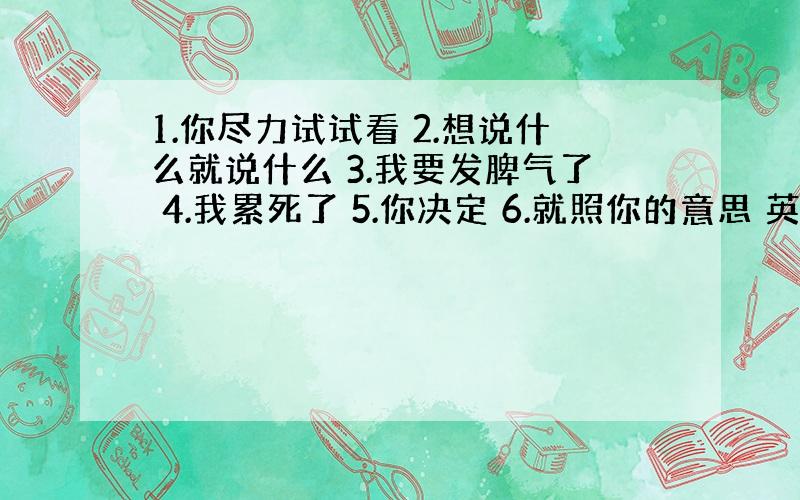 1.你尽力试试看 2.想说什么就说什么 3.我要发脾气了 4.我累死了 5.你决定 6.就照你的意思 英文怎么写?