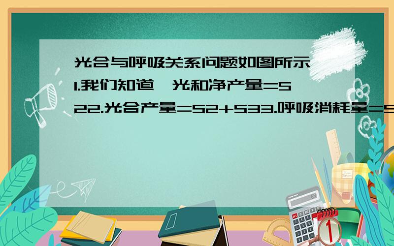 光合与呼吸关系问题如图所示,1.我们知道,光和净产量=S22.光合产量=S2+S33.呼吸消耗量=S1+S34.用另一种