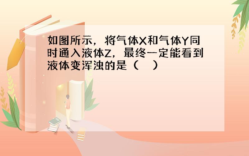 如图所示，将气体X和气体Y同时通入液体Z，最终一定能看到液体变浑浊的是（　　）