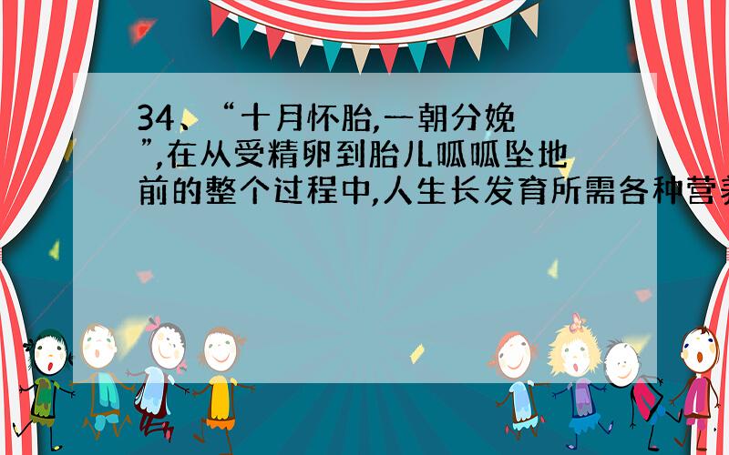 34、 “十月怀胎,一朝分娩”,在从受精卵到胎儿呱呱坠地前的整个过程中,人生长发育所需各种营养物质从