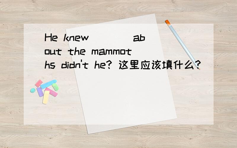 He knew ___ about the mammoths didn't he? 这里应该填什么?