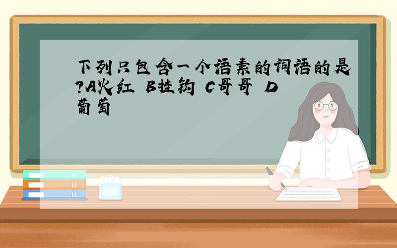 下列只包含一个语素的词语的是?A火红 B挂钩 C哥哥 D葡萄