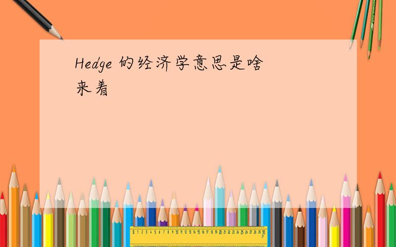 Hedge 的经济学意思是啥来着