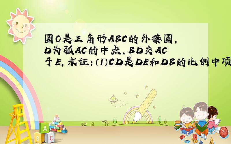 圆O是三角形ABC的外接圆,D为弧AC的中点,BD交AC于E,求证：（1）CD是DE和DB的比例中项（2）当CD=2*根