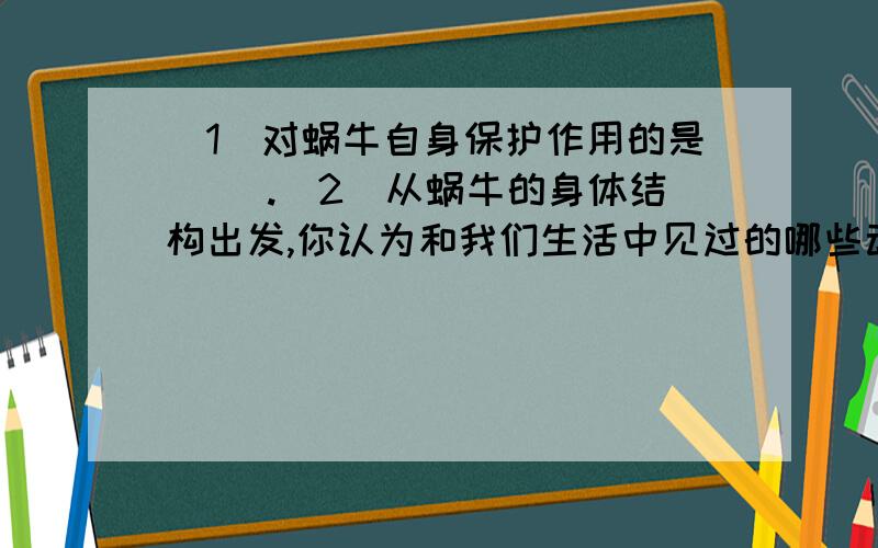 (1)对蜗牛自身保护作用的是( ).(2)从蜗牛的身体结构出发,你认为和我们生活中见过的哪些动物相似呢?