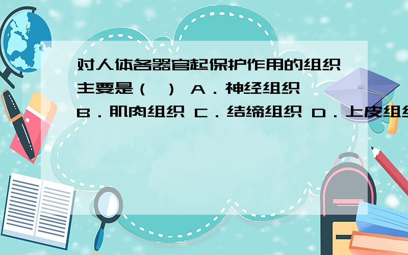 对人体各器官起保护作用的组织主要是（ ） A．神经组织 B．肌肉组织 C．结缔组织 D．上皮组织