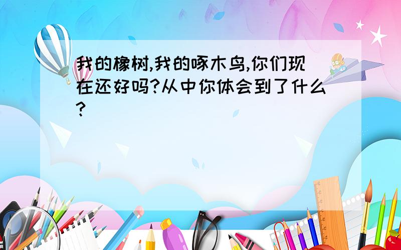 我的橡树,我的啄木鸟,你们现在还好吗?从中你体会到了什么?