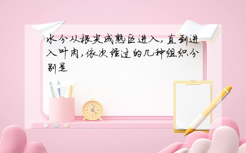 水分从根尖成熟区进入,直到进入叶肉,依次经过的几种组织分别是