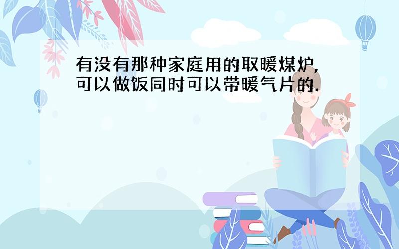 有没有那种家庭用的取暖煤炉,可以做饭同时可以带暖气片的.