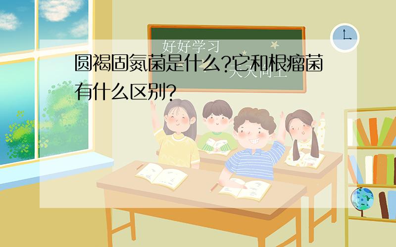 圆褐固氮菌是什么?它和根瘤菌有什么区别?