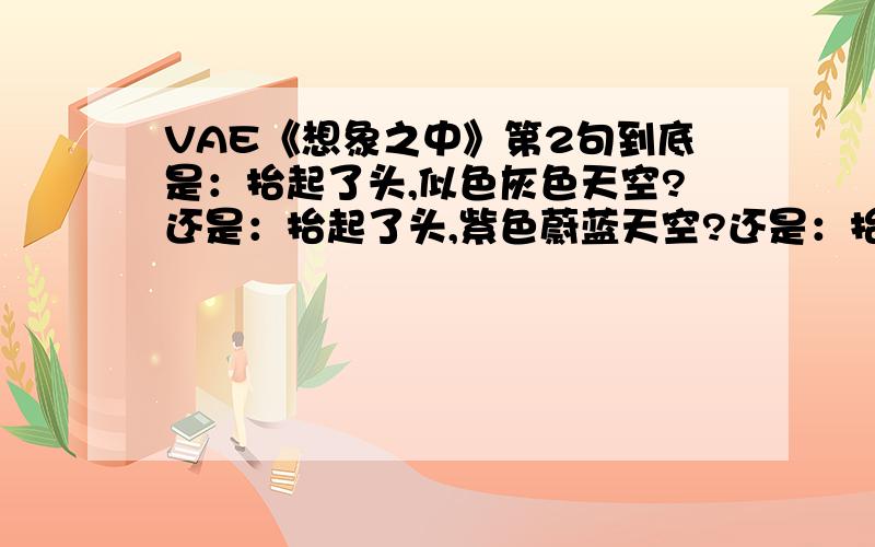 VAE《想象之中》第2句到底是：抬起了头,似色灰色天空?还是：抬起了头,紫色蔚蓝天空?还是：抬起了头,