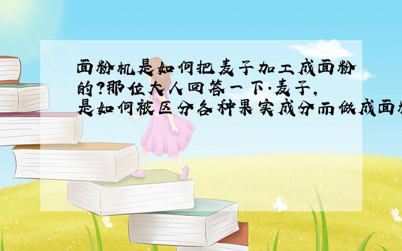 面粉机是如何把麦子加工成面粉的?那位大人回答一下.麦子,是如何被区分各种果实成分而做成面粉.